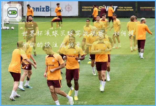 世界杯滚球买球实战观察：如何提升你的投注成功率