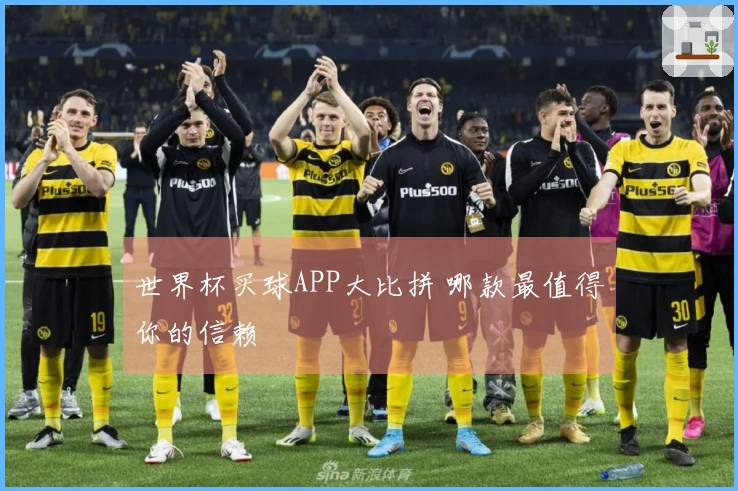 世界杯买球APP大比拼 哪款最值得你的信赖