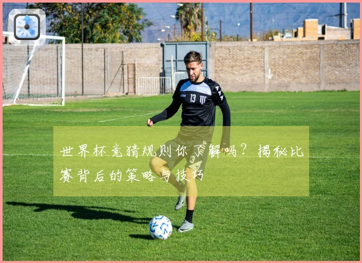 世界杯竞猜规则你了解吗？揭秘比赛背后的策略与技巧